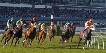 where is horse racing today|horse tracks running today.